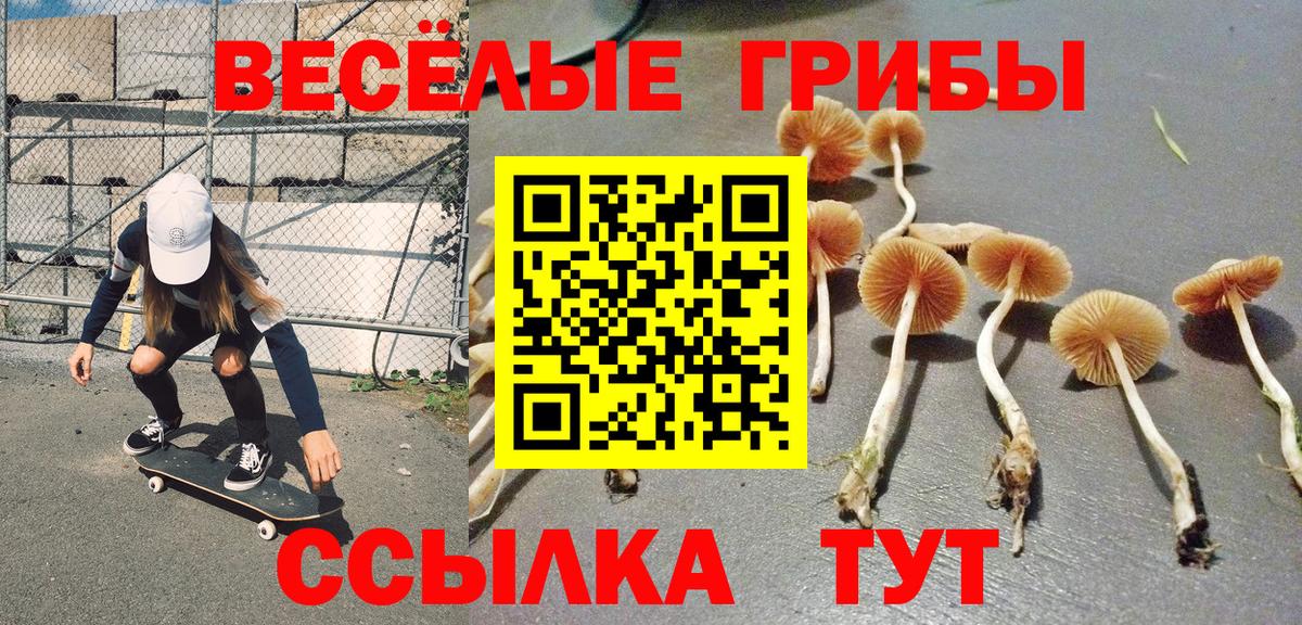 Петропавловск-Камчатский  Псилоцибиновые грибы Cubensis  Вход с VPN 